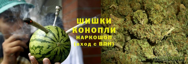 спиды Новозыбков