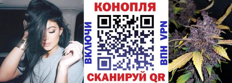 Конопля AK-47  где продают   Тара 